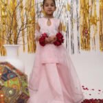 Girls sheesha silk Lehenga
