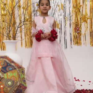 Girls sheesha silk Lehenga